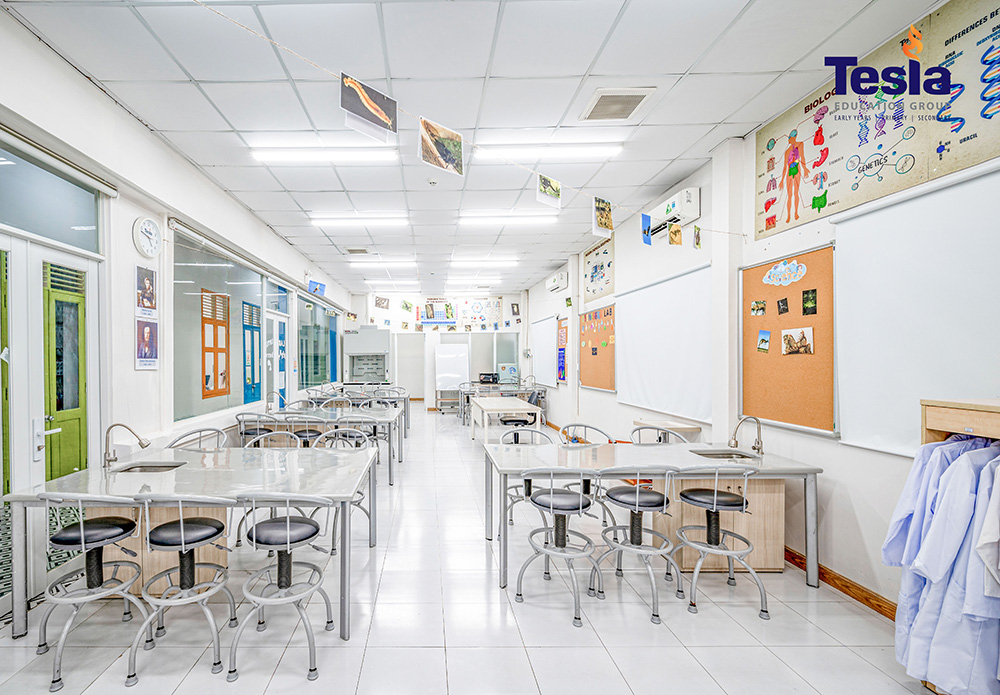 The laboratories at Tesla International Primary School meet the standards of the IB Diploma programme