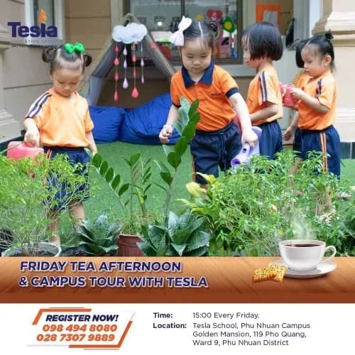 Tesla-Tea-afternoon_EN-500x500-1.jpg