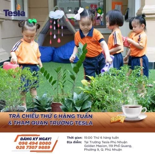 Tesla-Tea-afternoon_VI-500x500-1.jpg