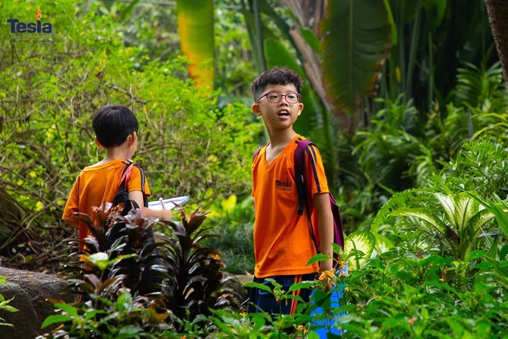 truong-quoc-te-tesla-tieu-hoc-pyp-14.jpg
