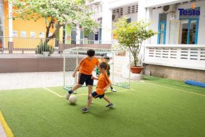 IMG 0803 scaled 768x512 1 300x200