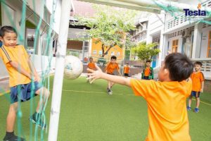 IMG 0810 scaled 768x512 1 300x200