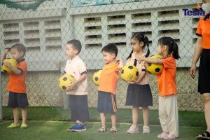 IMG 1335 scaled 768x512 1 300x200