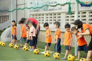 IMG 1339 scaled 768x512 1 300x200