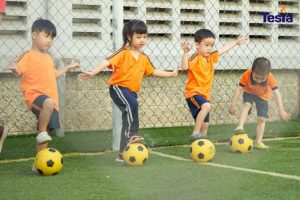 IMG 1351 scaled 768x512 1 300x200