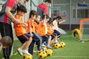 IMG 1358 scaled 768x512 1 300x200