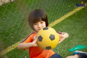 IMG 1365 scaled 768x512 1 300x200