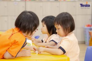 IMG 1526 scaled 768x512 1 300x200