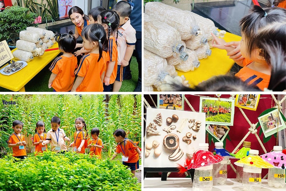 Truong Quoc te Tesla du an sinh vat