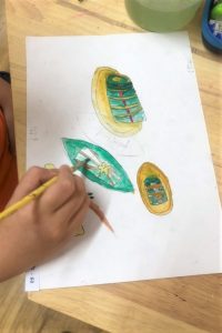 art Tet 5 768x1151 1 200x300