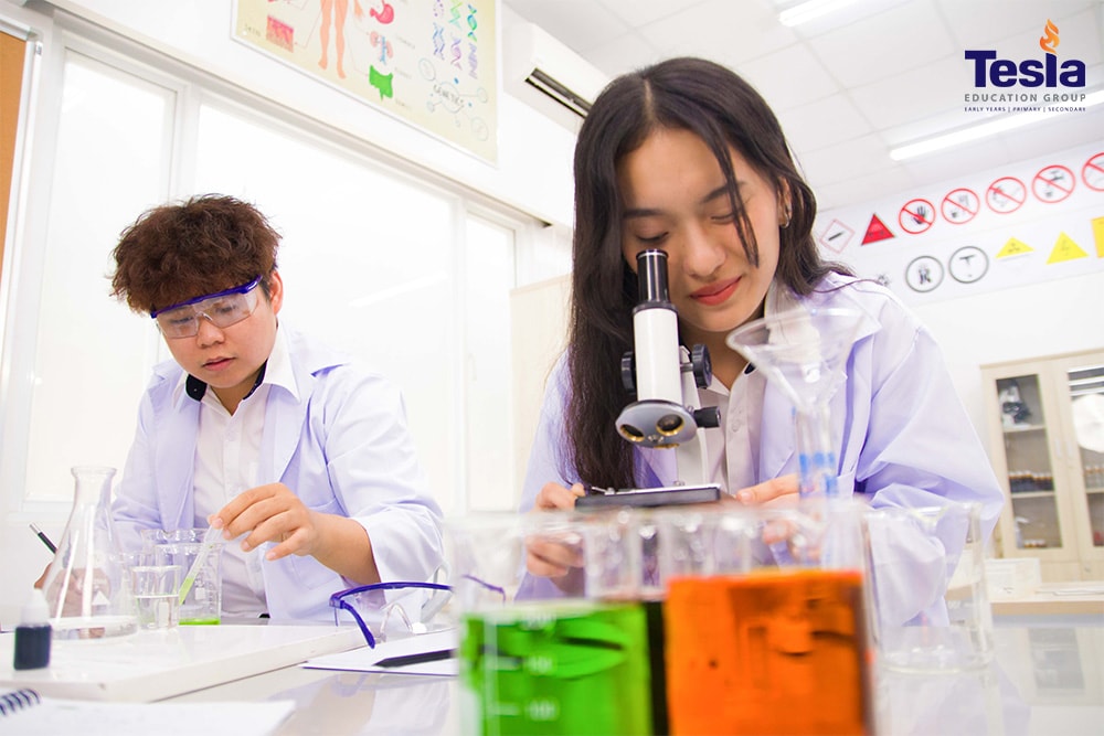 chuan bi hanh trang vao dai hoc truong tesla 2