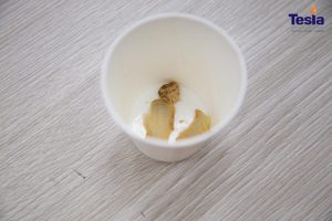 englishtesla 6 768x512 1 300x200