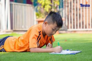 literature 1 768x512 1 300x200