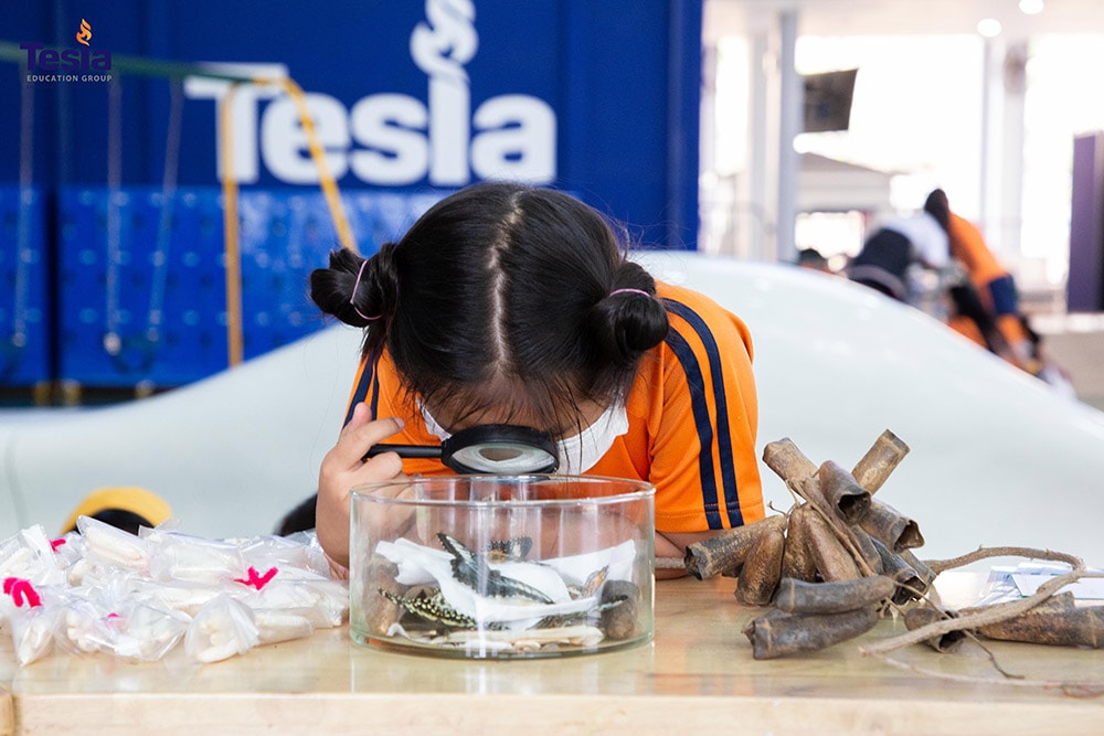 ngay khoa hoc truong quoc te tesla 11