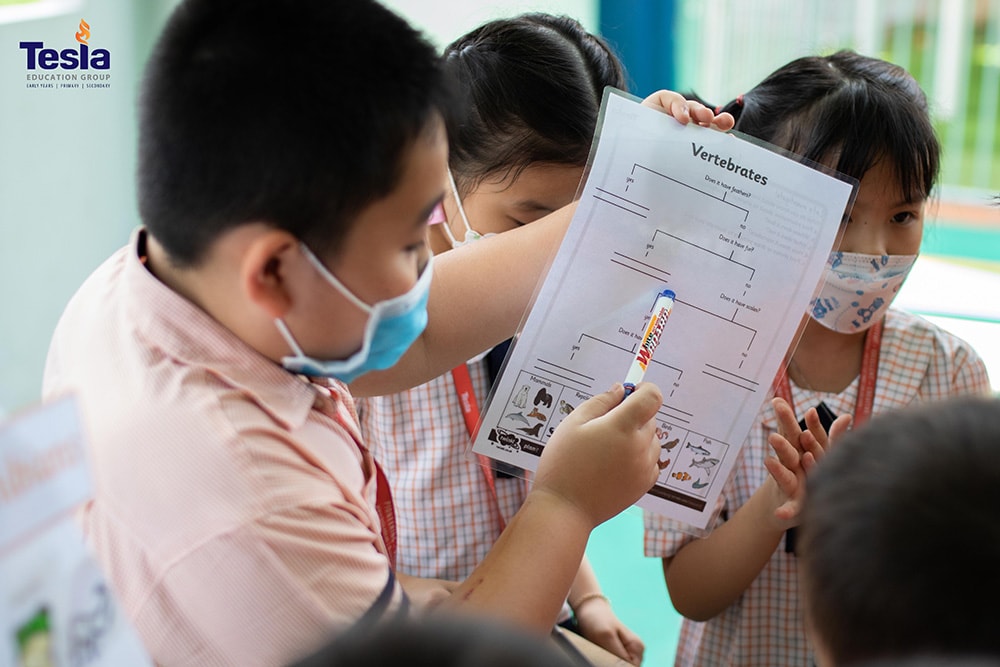 ngay khoa hoc truong quoc te tesla 14