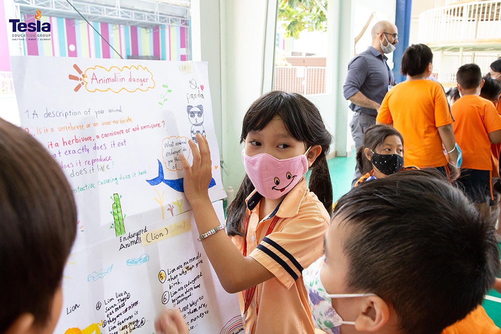 ngay khoa hoc truong quoc te tesla 6