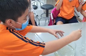 thi nghiem voi hat tieu tesla 3 300x196