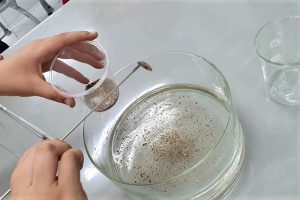 thi nghiem voi hat tieu tesla 4 300x200