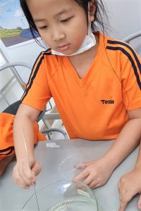 thi nghiem voi hat tieu tesla 5 200x300