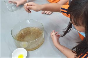 thi nghiem voi hat tieu tesla 6 300x200