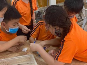 trienlamtrituenhantaotesla 3 768x576 1 300x225