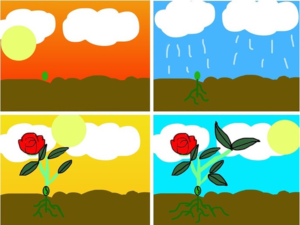 truong quoc te tesla G4 mo phong qua trinh quang hop