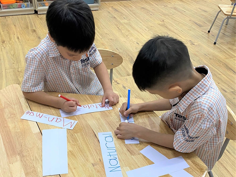 truong quoc te tesla KG bao ve moi truong 1