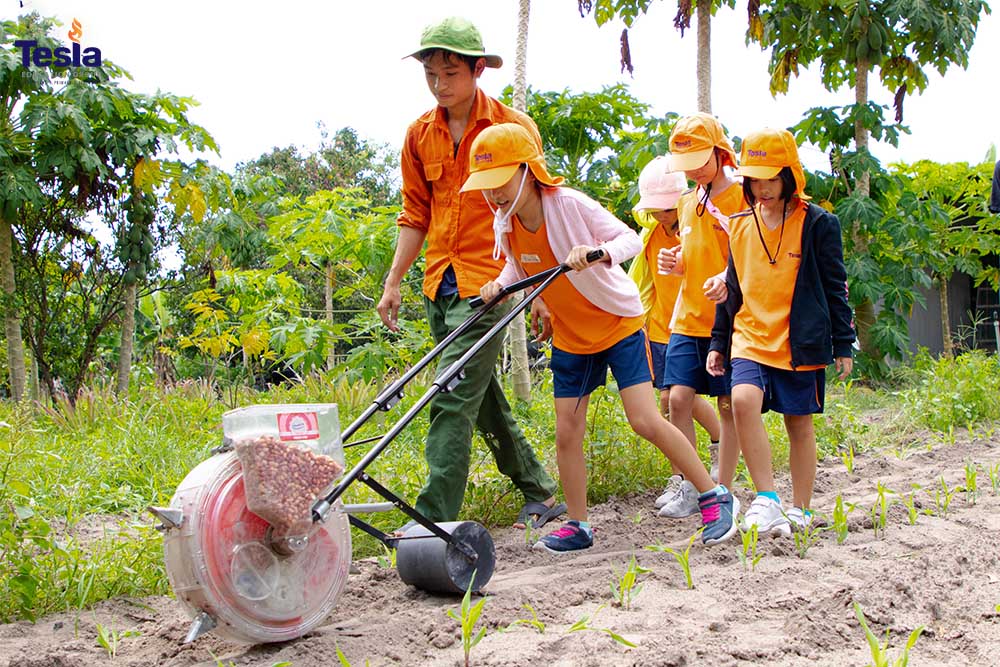 truong quoc te tesla hoc qua trai nghiem 1