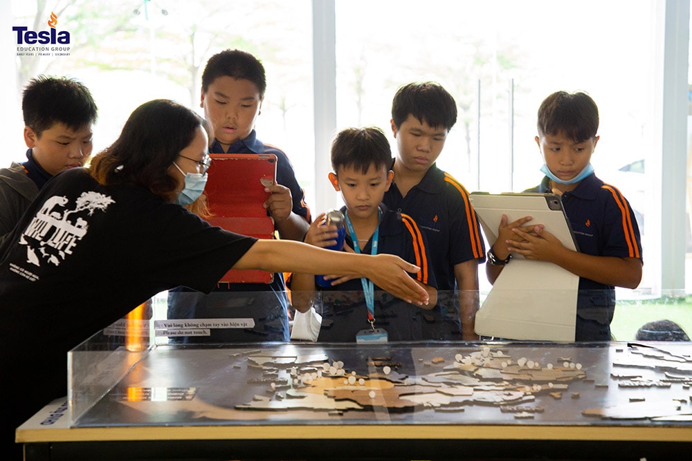 truong quoc te tesla hoc qua trai nghiem 6
