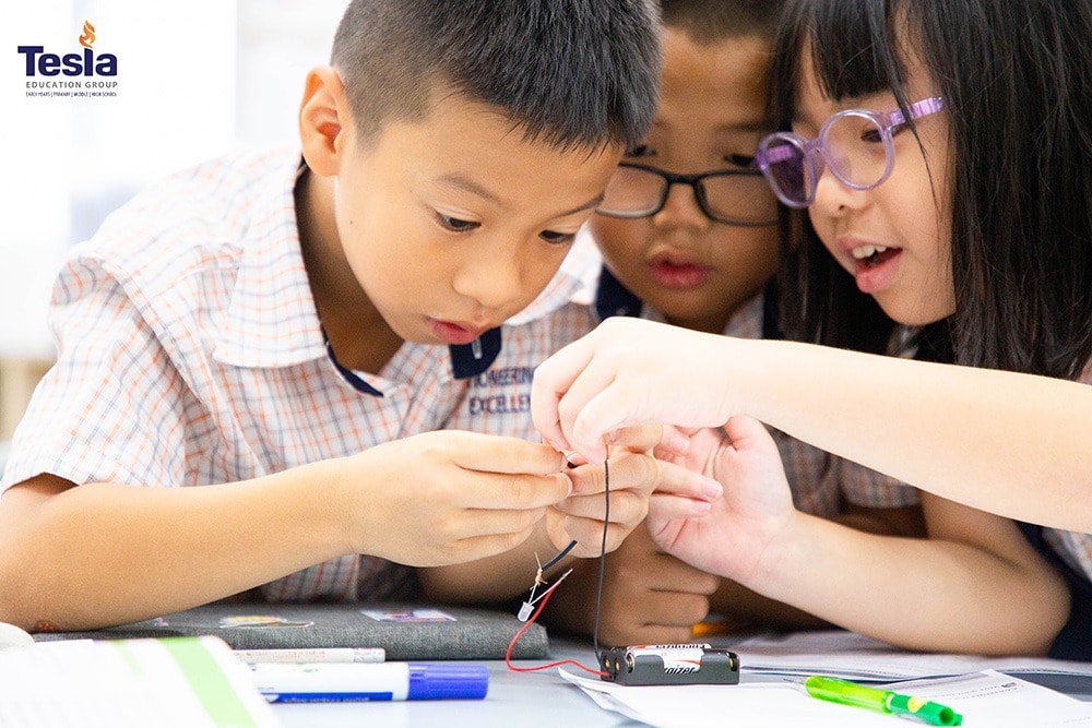 truong quoc te tesla tieu hoc pyp 10