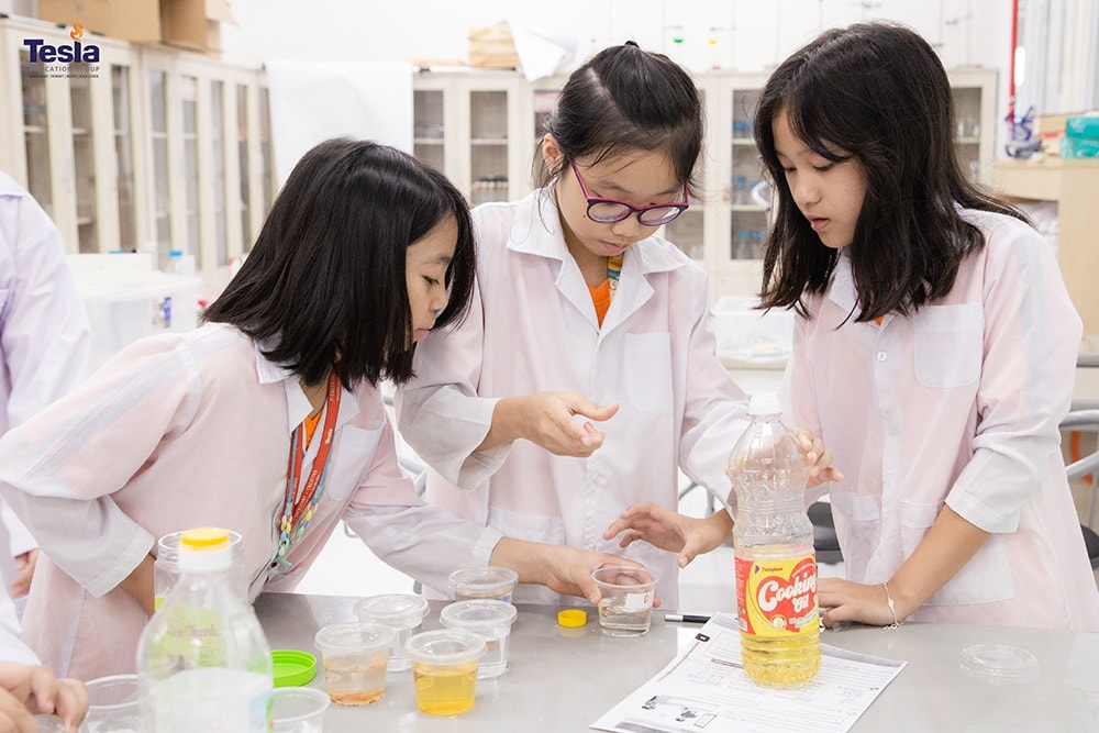 truong quoc te tesla tieu hoc pyp 16