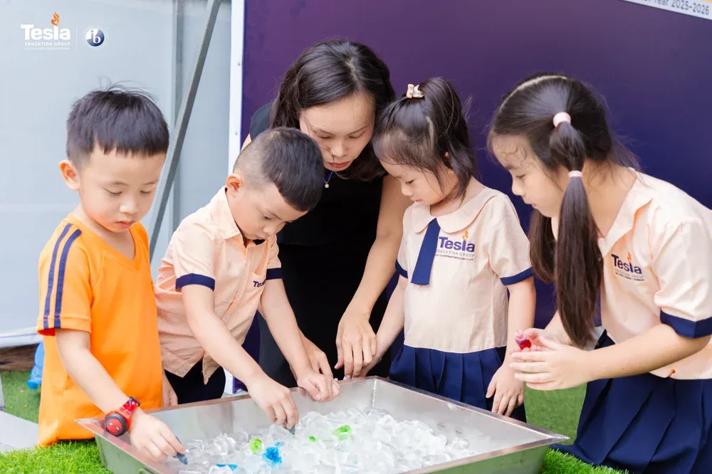 Tesla Education tuition and fees - transparent IB school pricing for families in Tan Binh, HCMC