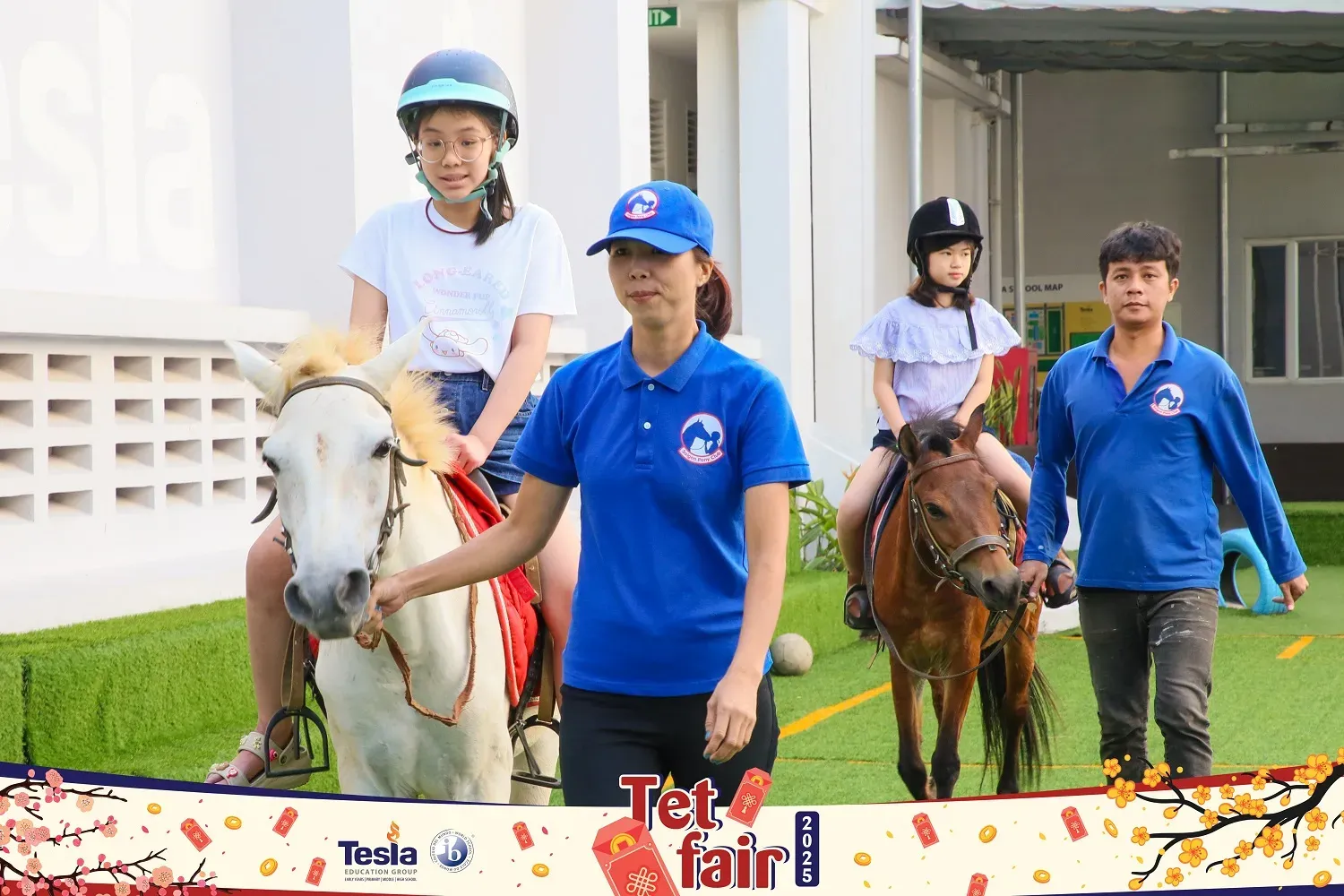 tet fair 2025 horse