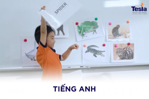 EYS Science animal class_VN