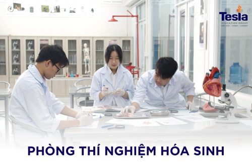 MYP Biochem Lab_VN