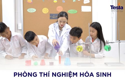PYP Biochem Lab_VN