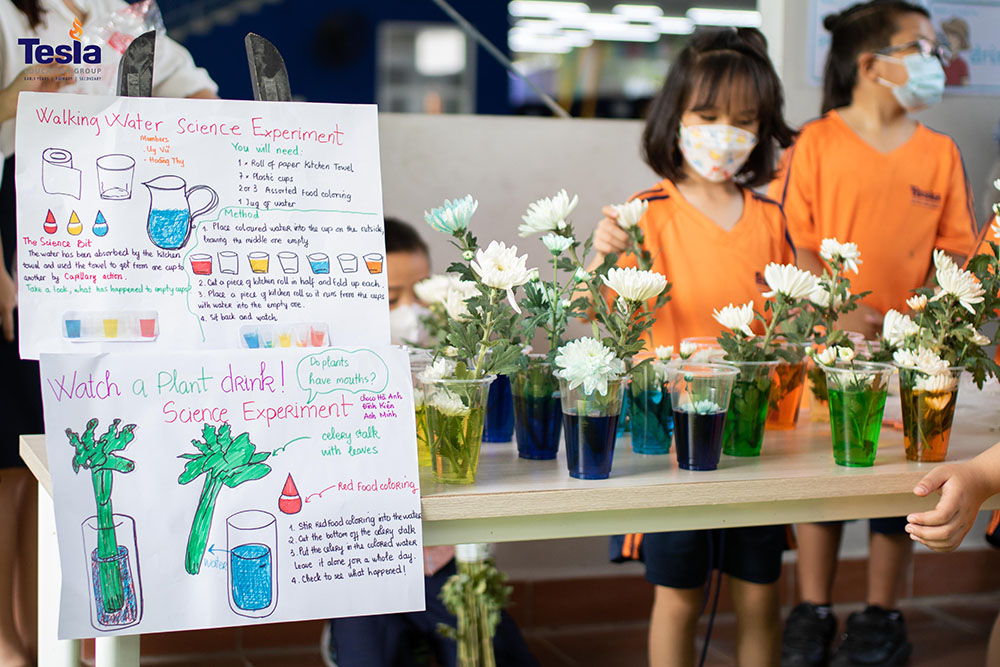 Science Day and Earth Day at Tesla Education