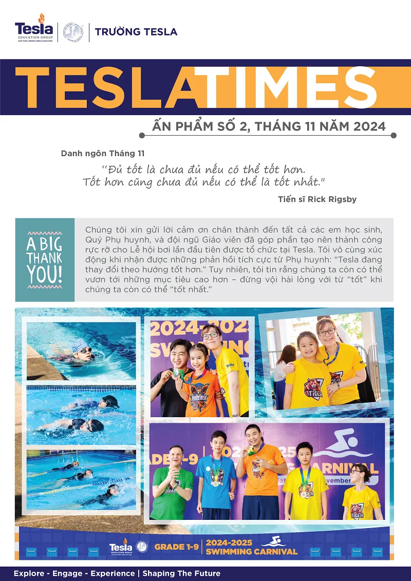 Newsletter 11/2024