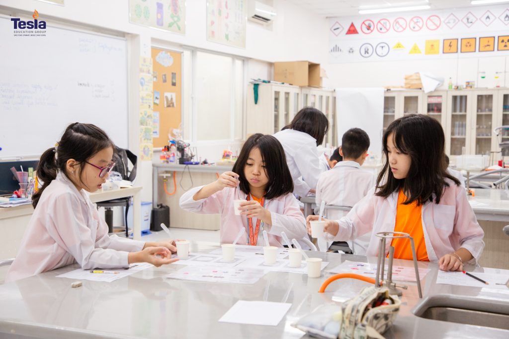 Chương trình IB là gì? Tìm hiểu chi tiết EYP, PYP và MYP – Lộ trình giáo dục toàn diện cho trẻ 3 – 16 tuổi
