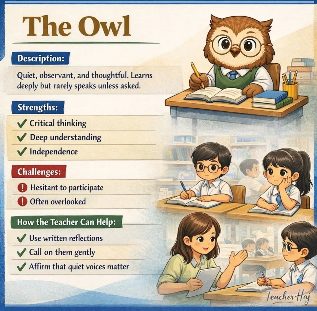Understanding Your Child’s Learning Style at Tesla Education Different-types-of-students-the-owl