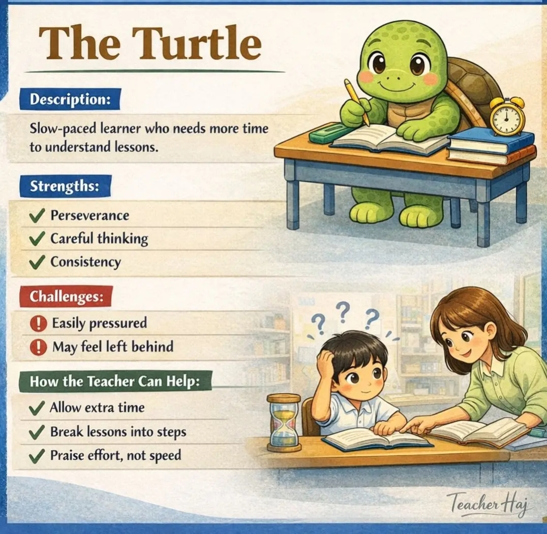 Understanding Your Child’s Learning Style at Tesla Education Different-types-of-students-the-turtle